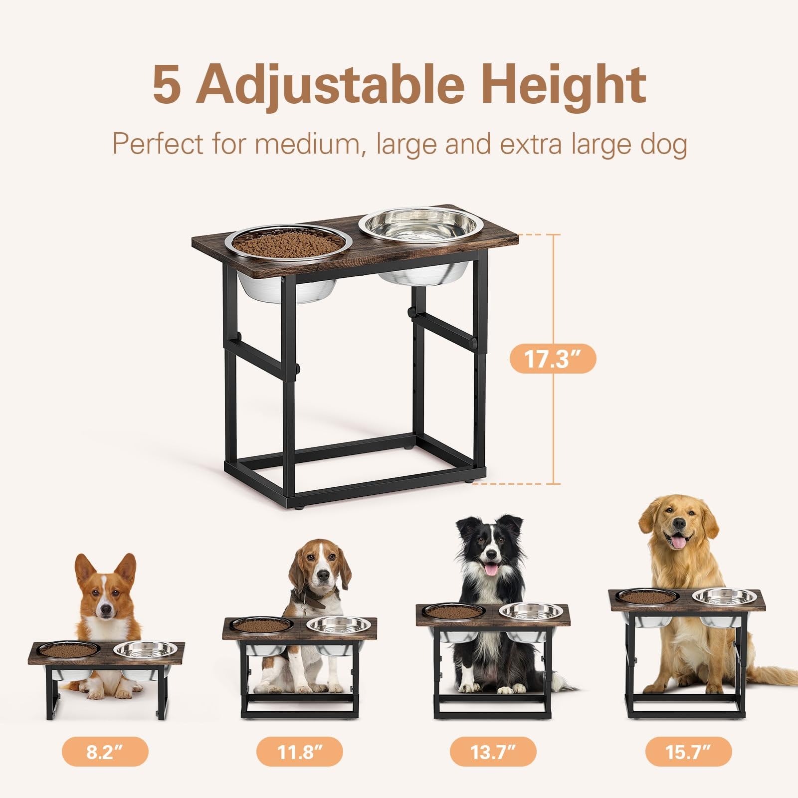 Zarler elevated dog bowls stand with sturdy metal frame and non-slip feet for stable feeding.