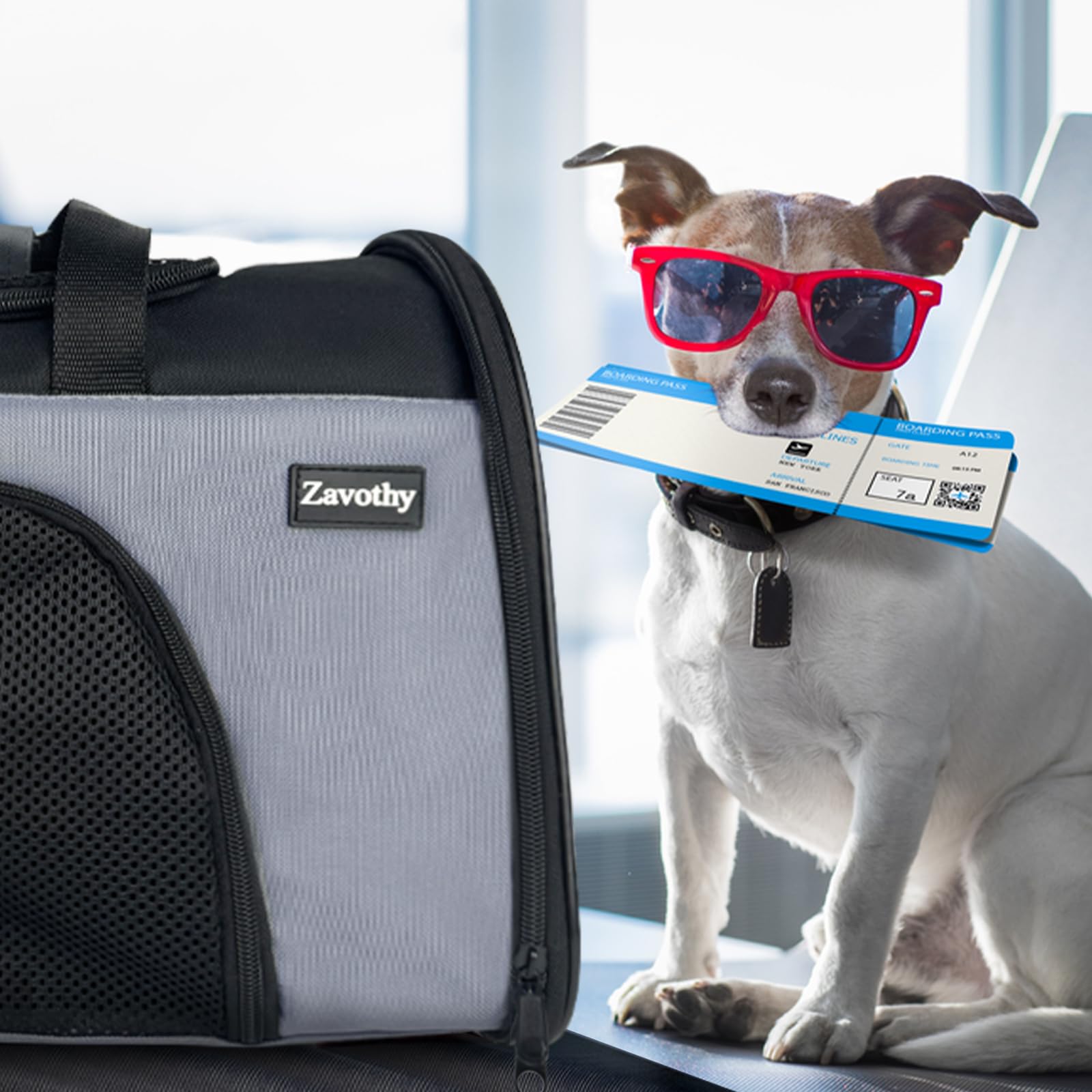Zavothy grey soft-sided carrier designed for small to medium cats and puppies.