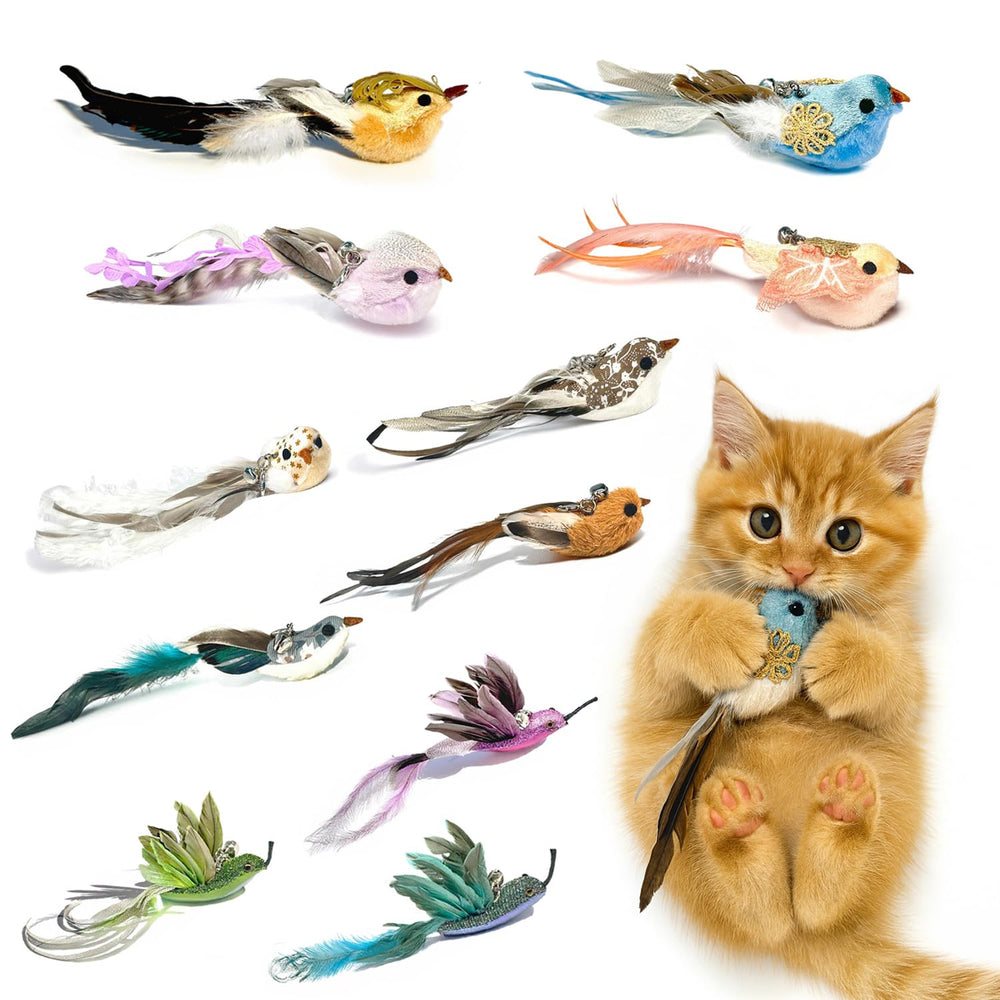 ZAYLUMO bird toy refill set with colorful feathers for engaging indoor playtime