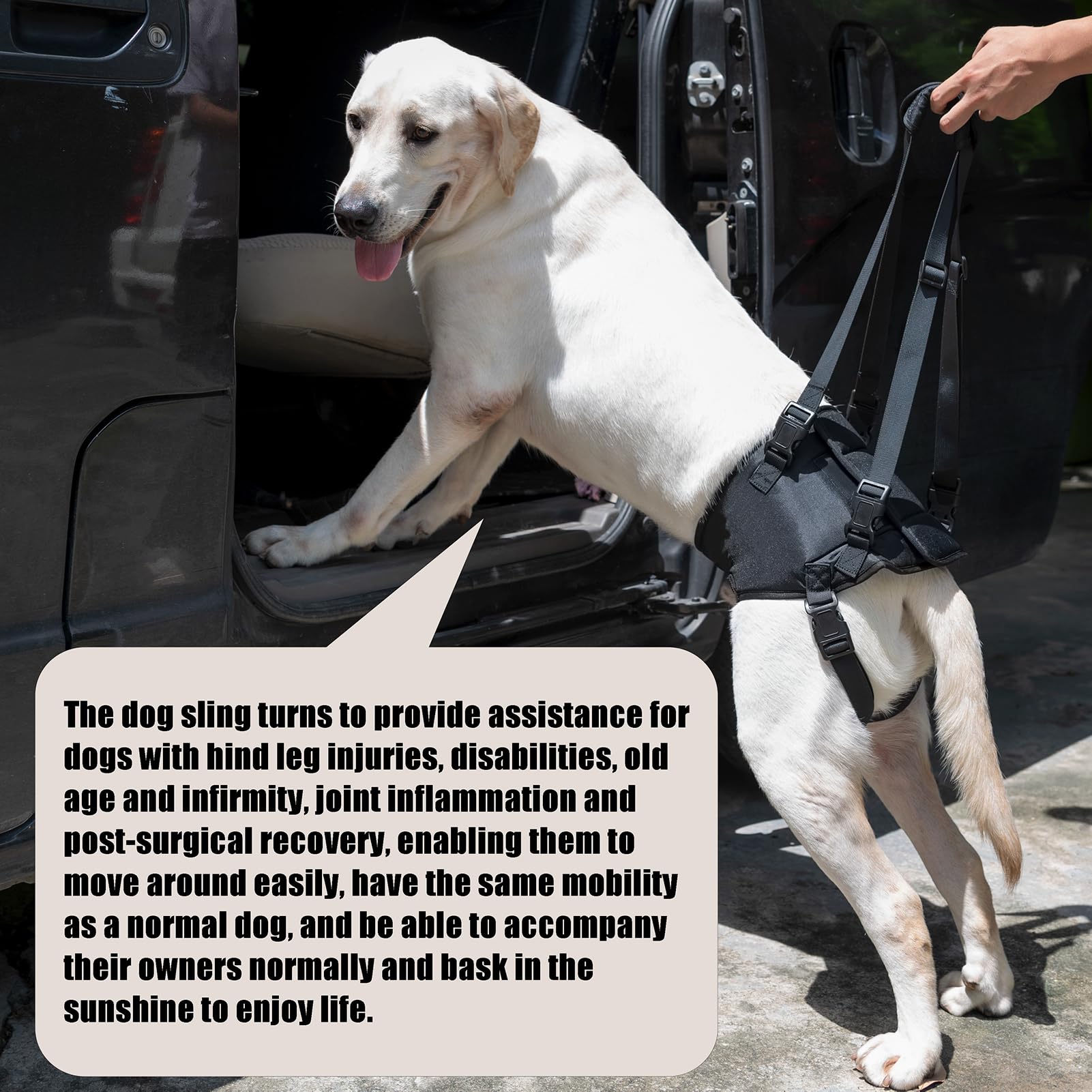 ZDBFu Dog Lift Harness defecation groove allows outdoor relief without removal