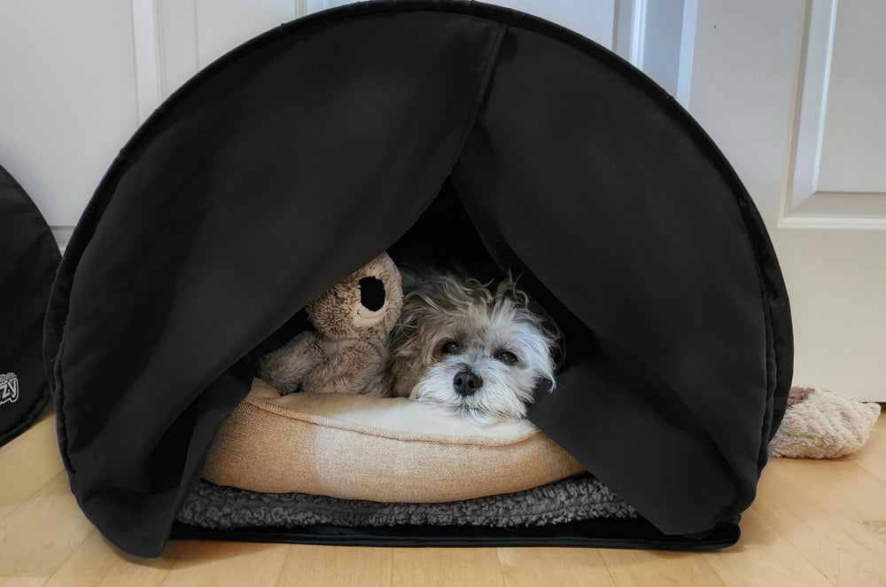 zDen lightweight portable tent is ready for travel and weekend getaways.