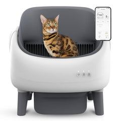 ZeaCotio open-top design offers easy access for cats in multi-cat homes.