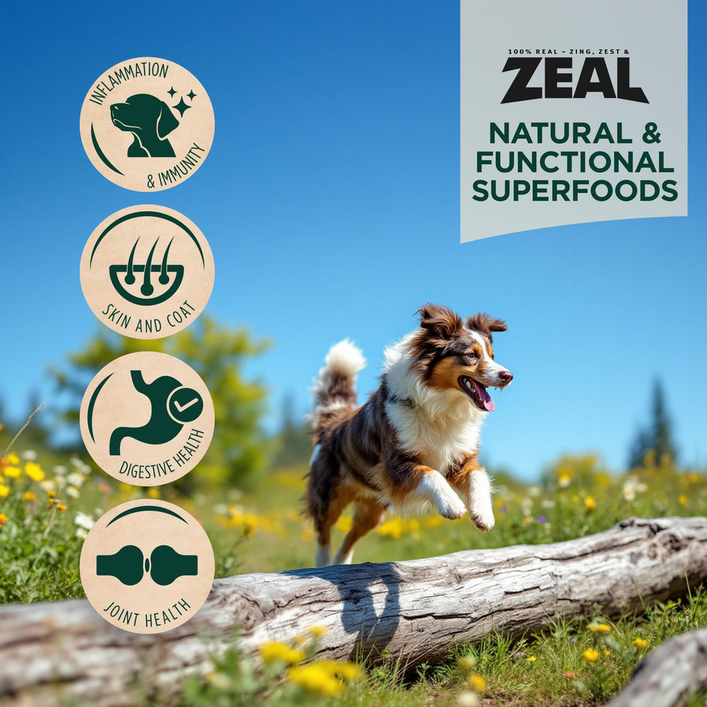 ZEAL Canada Air-Dried Chicken Recipe ingredients image showing greens, berries, and organ meats for immune support.