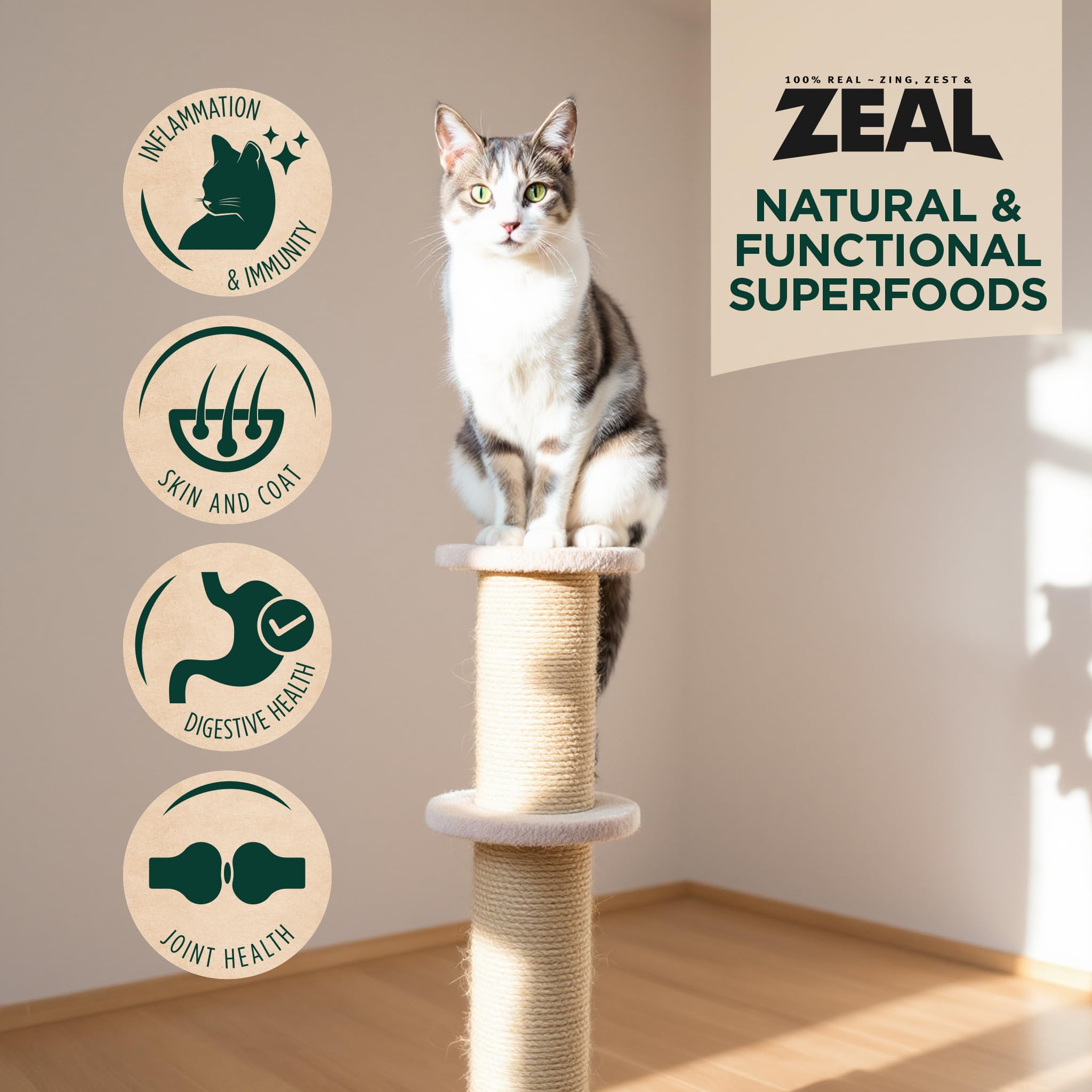 ZEAL Canada skin-coat salmon image implies shiny coat and healthy-looking fur.