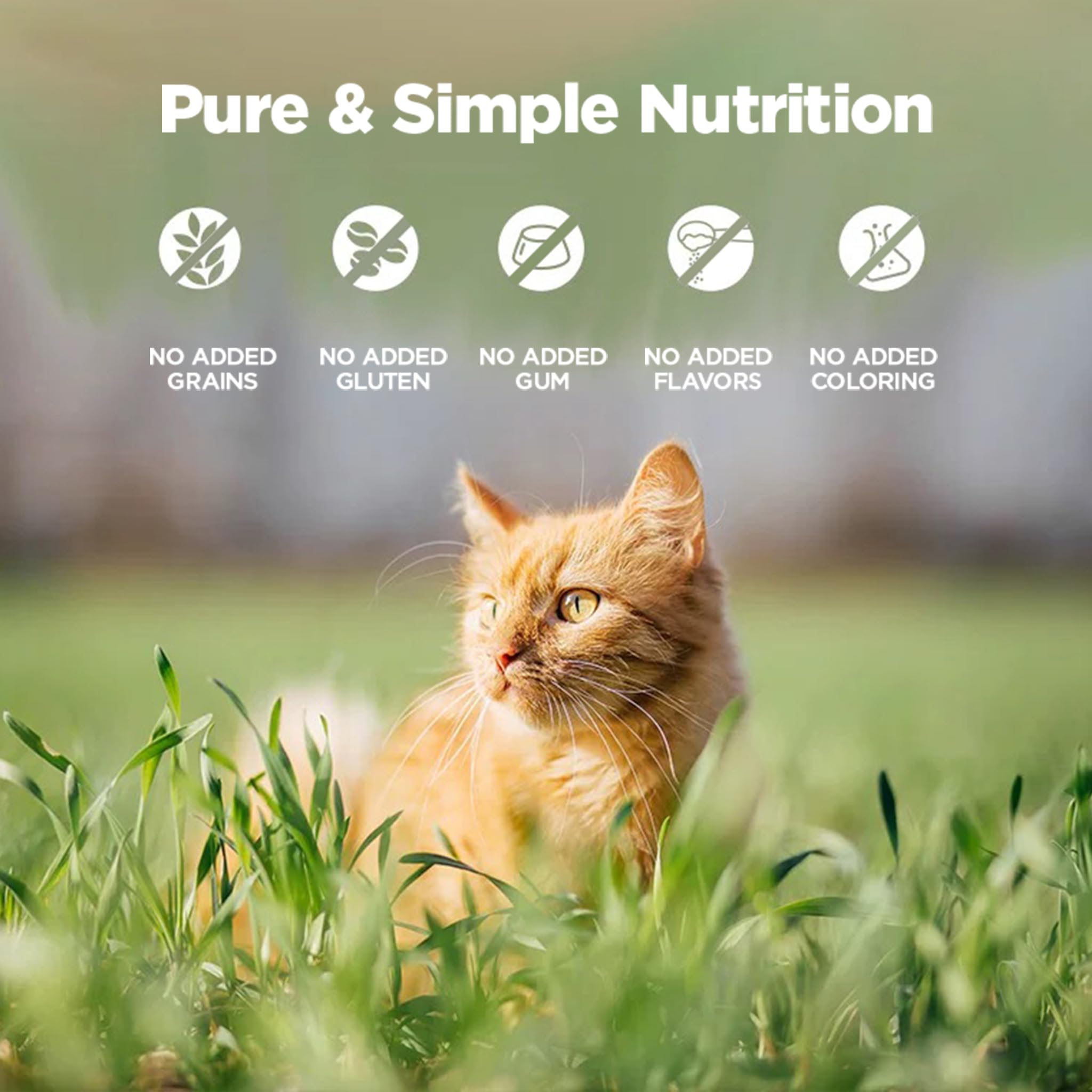 ZEAL salmon oil bottle image signals coat health and shine