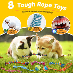 Zeaxuie treat ball challenges puppies, rewarding problem-solving with treats.