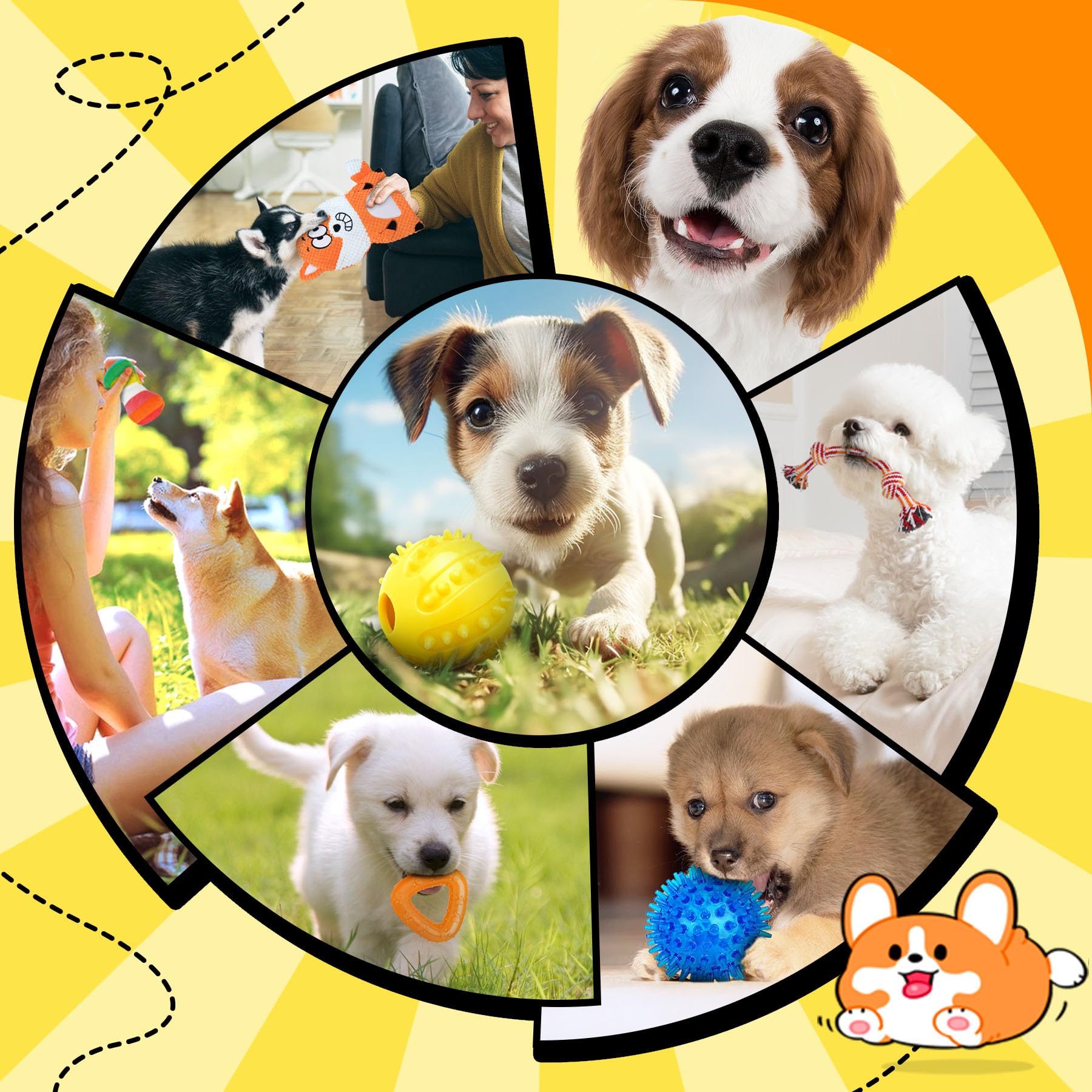 Zeaxuie treat ball in action encouraging problem-solving play