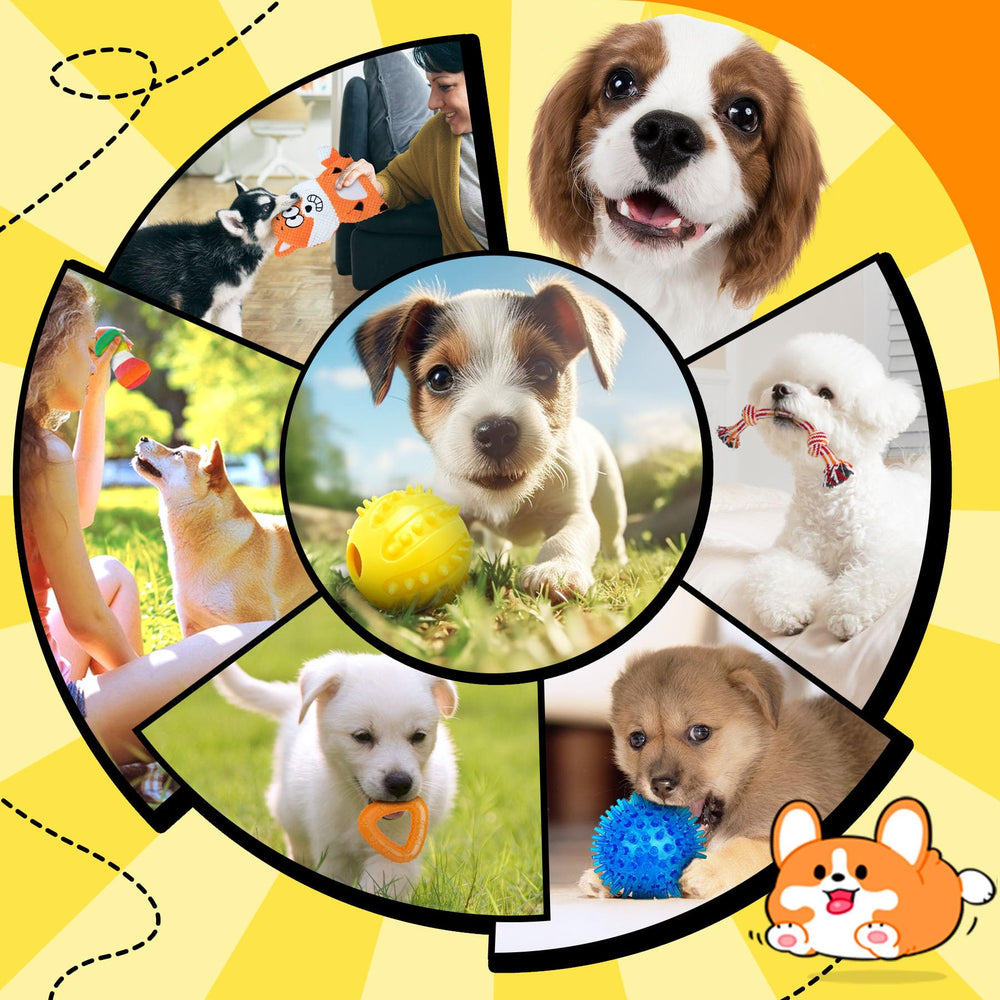 Zeaxuie treat ball in action encouraging problem-solving play
