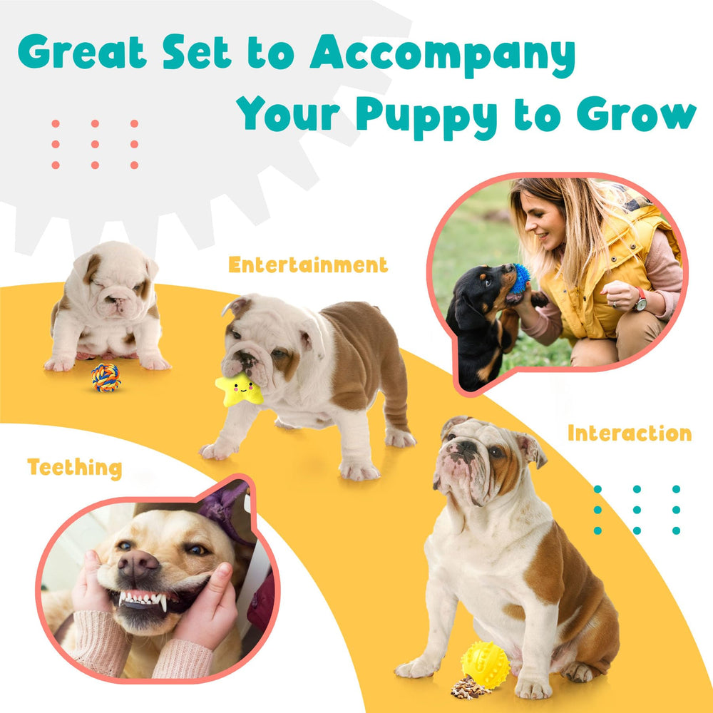 Zeaxuie dog bag rolls and holder organized for toy storage