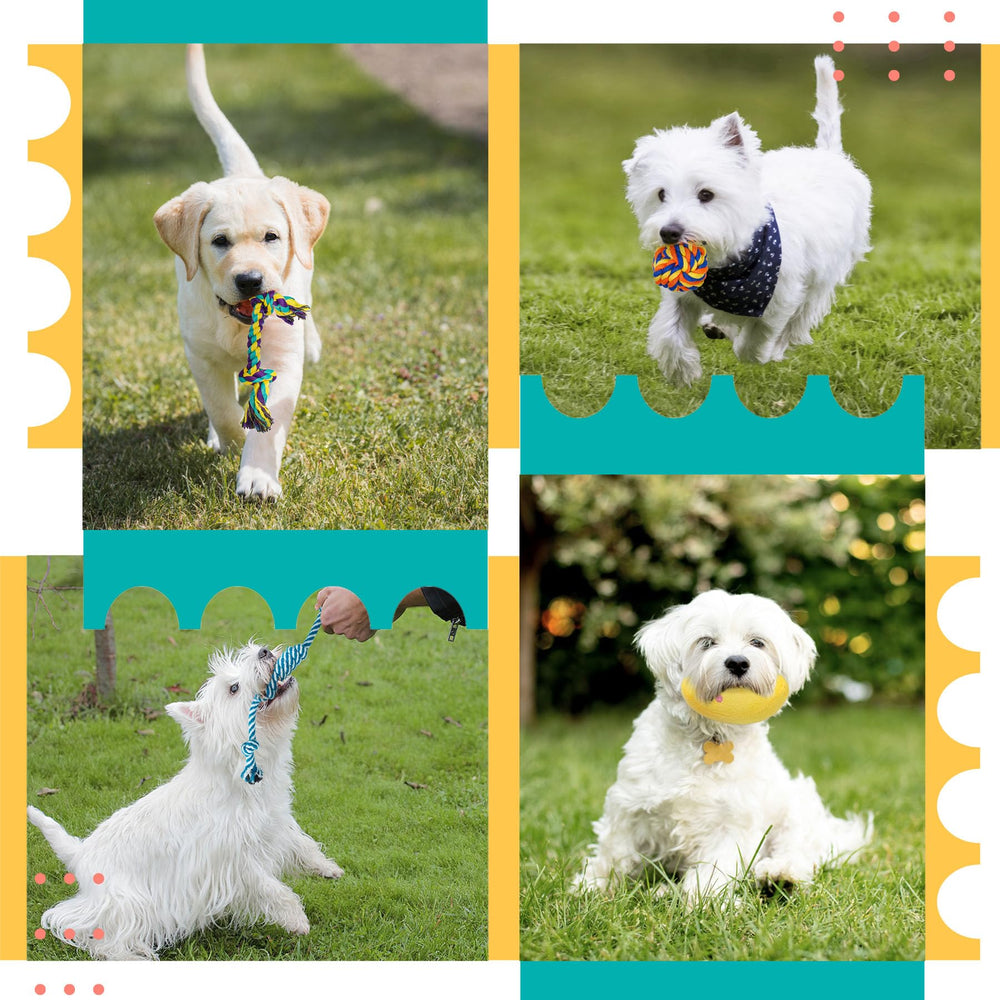 Zeaxuie puppy toys storage holder display for easy access during playtime