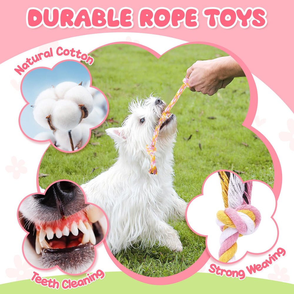Zeaxuie squeaky plush toy offers crinkle sounds to attract pups