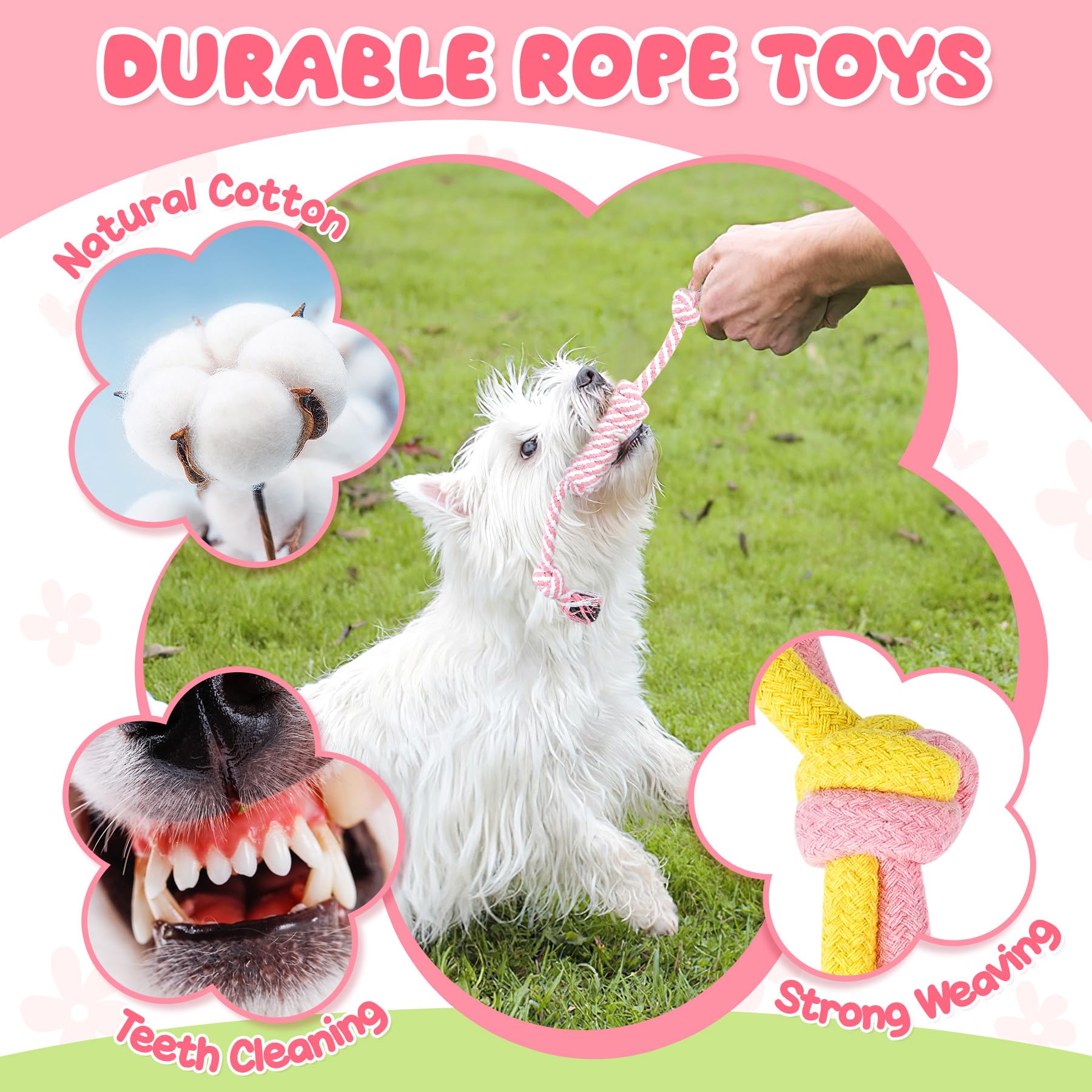 Zeaxuie treat ball encourages problem-solving and mental stimulation.