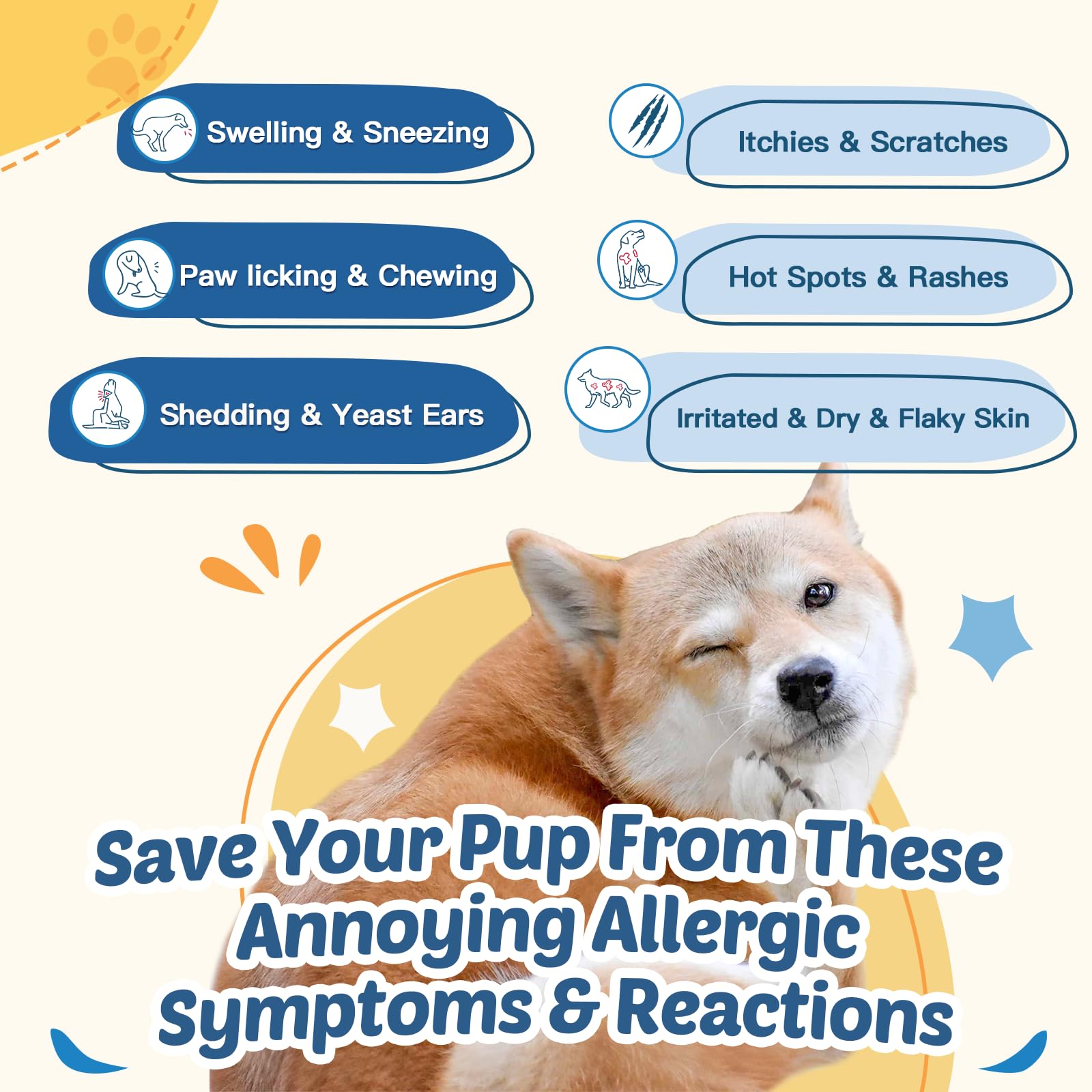 ZEBORA dog allergy chews bottle highlights omega-3 for coat health.