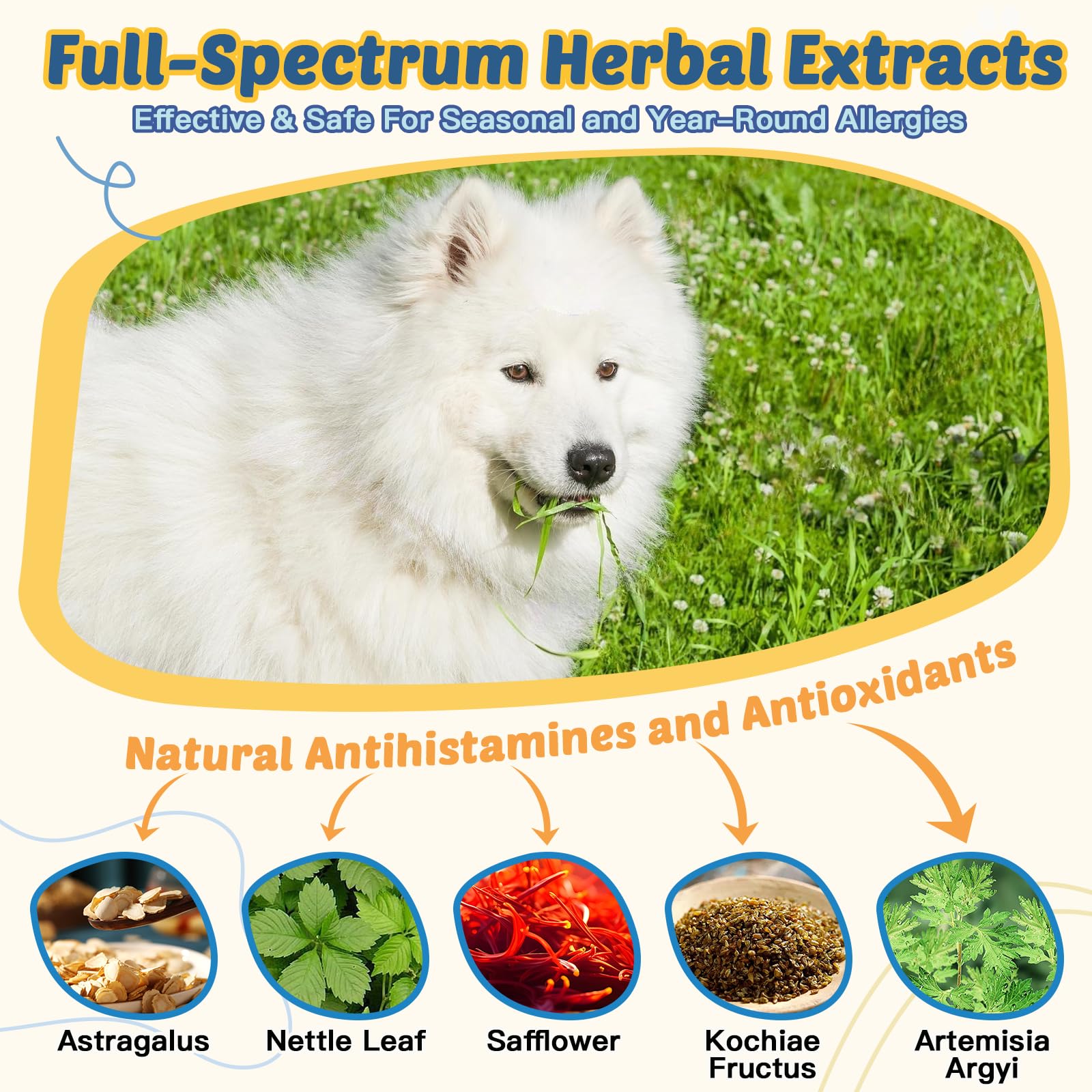 ZEBORA treats closeup shows freeze-dried texture and palatability.