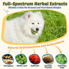 ZEBORA treats closeup shows freeze-dried texture and palatability.