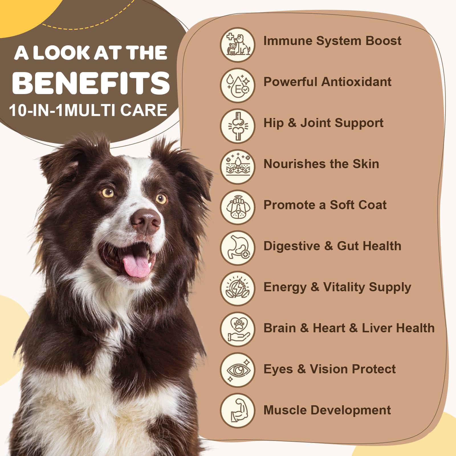 ZEBORA dog multivitamin bite-sized chews entice dogs with tasty texture for easy supplementation.