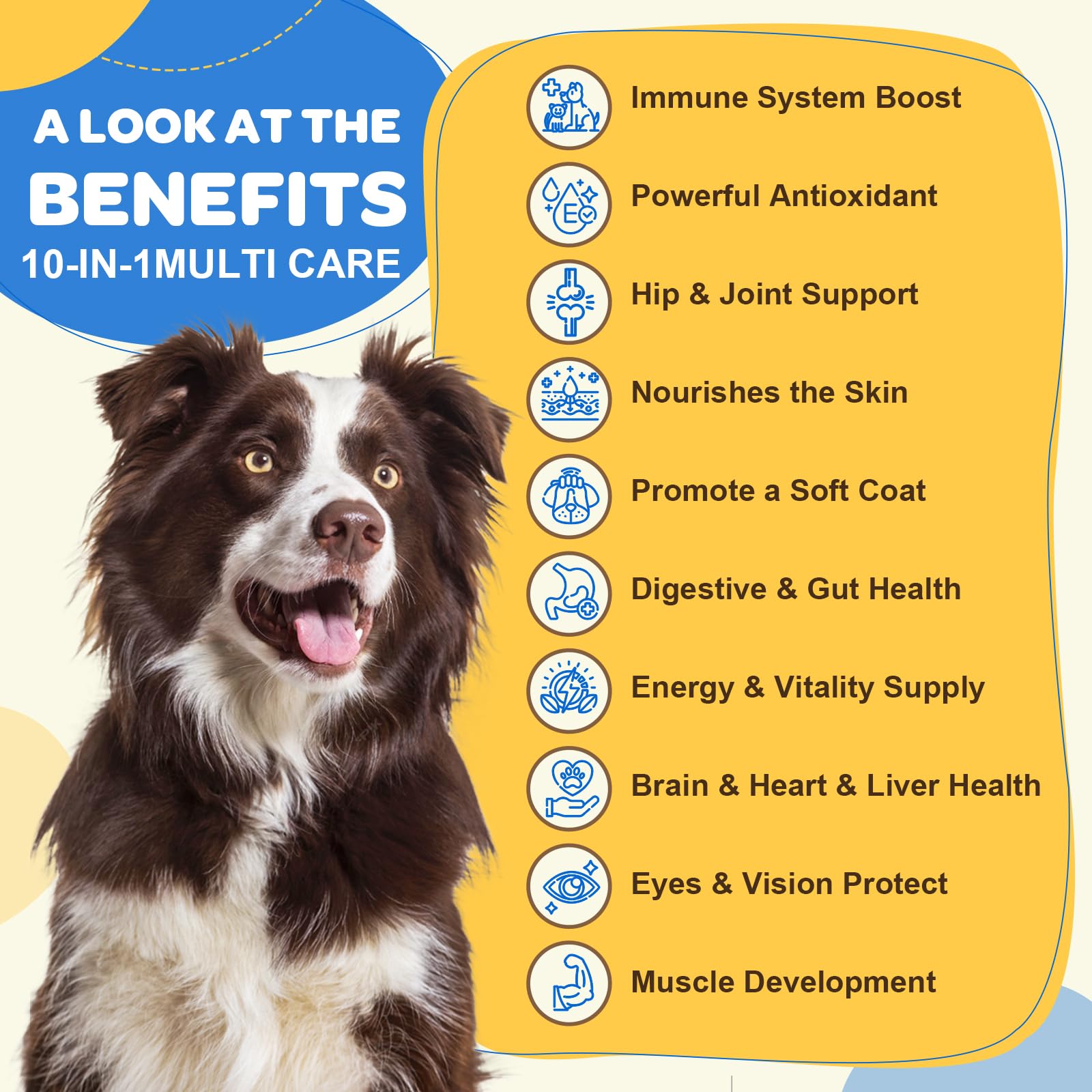 ZEBORA dog multivitamin probiotic bottle close-up highlights gut health support.
