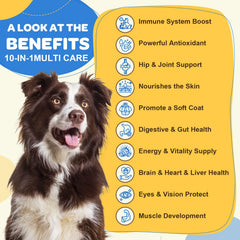 ZEBORA dog multivitamin probiotic bottle close-up highlights gut health support.
