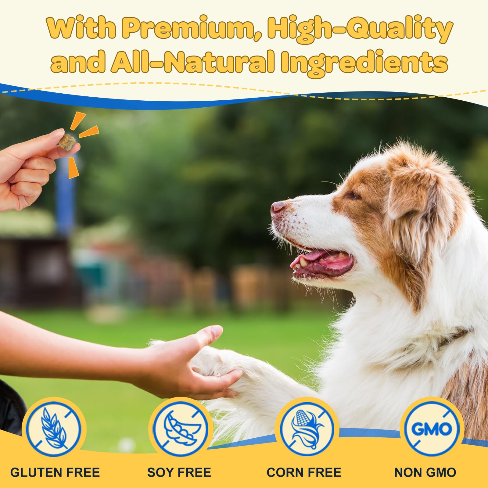 ZEBORA dog multivitamin vitamins and minerals packaging emphasizes complete daily support.