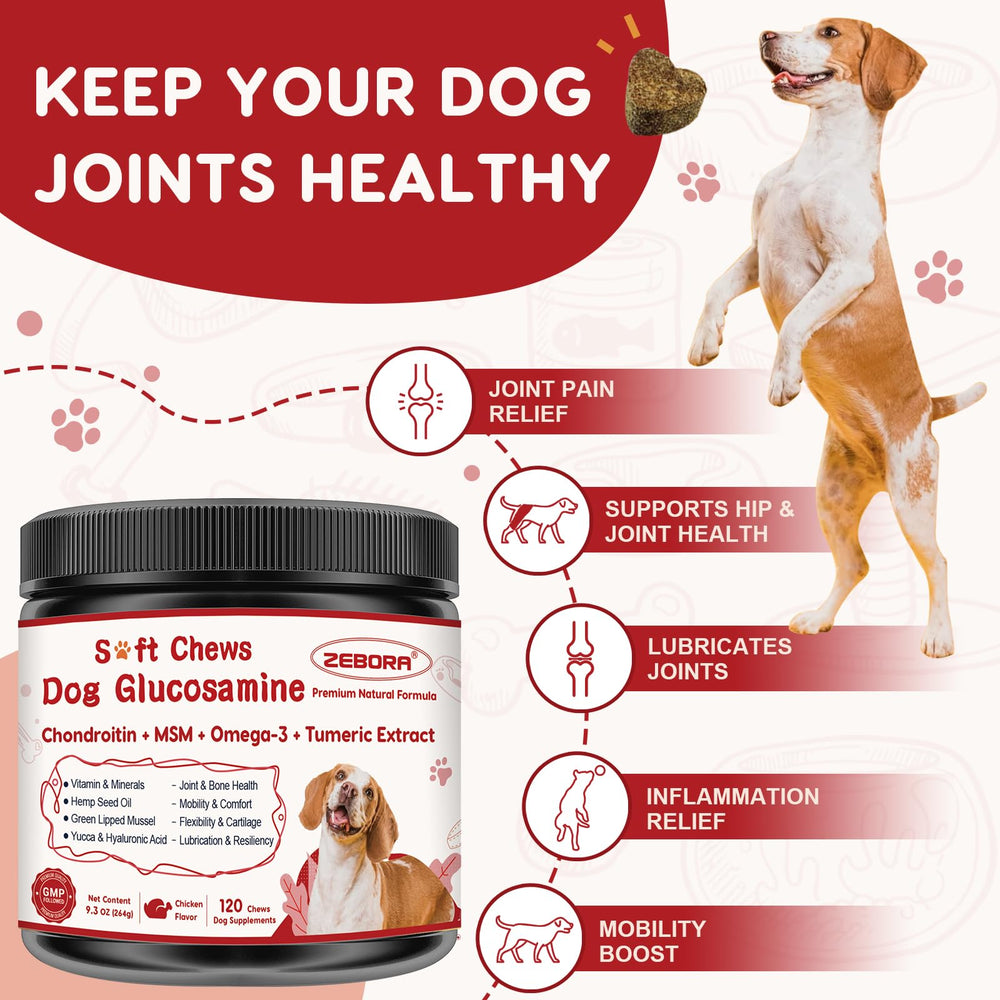 ZEBORA glucosamine chondroitin MSM ingredients label highlights cartilage support.