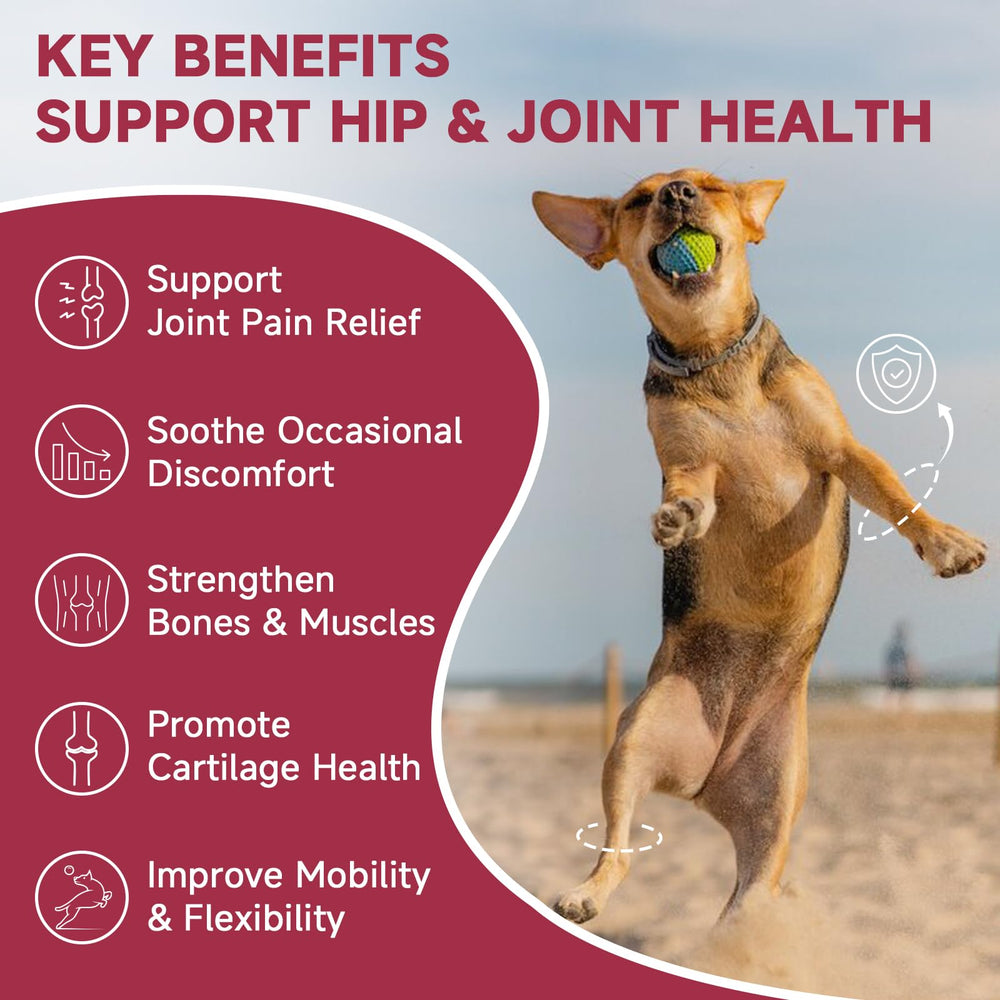 ZEBORA Glucosamine bottle with 180 chews showcases long-term joint care.