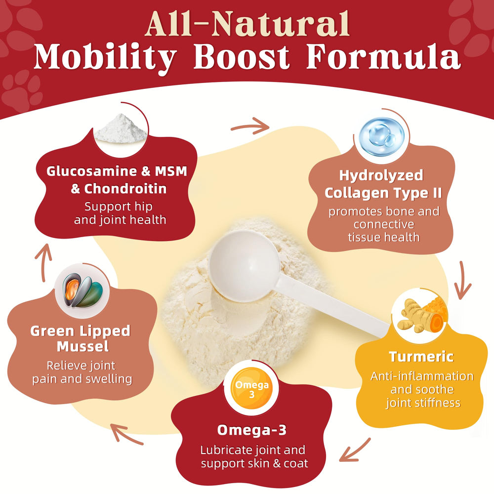 ZEBORA Glucosamine for Dogs powder topper on food supports daily mobility.