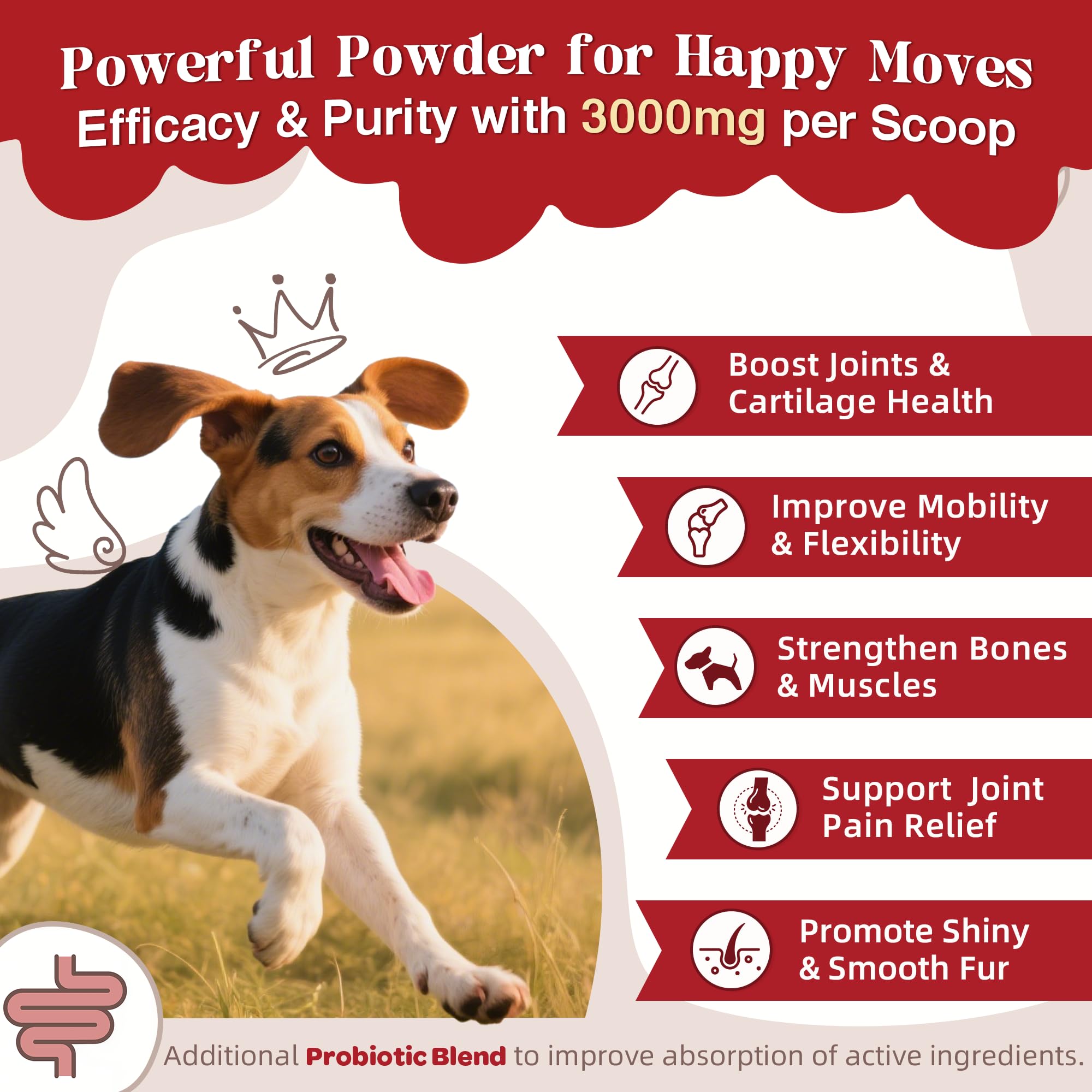 ZEBORA Glucosamine for Dogs senior mobility with easy powder administration.