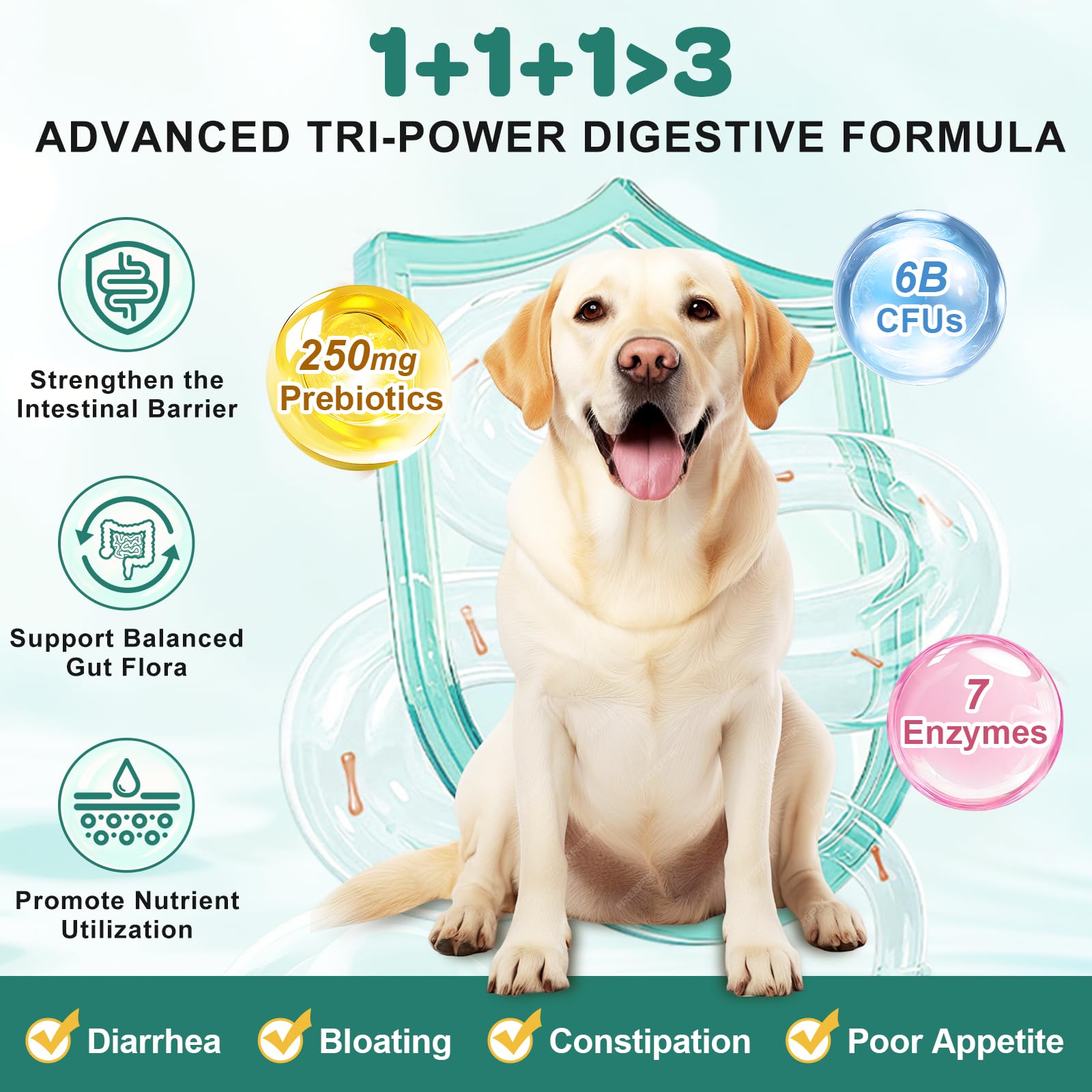 ZEBORA probiotics for dogs chicken-flavor chews closeup highlighting tasty probiotic support.