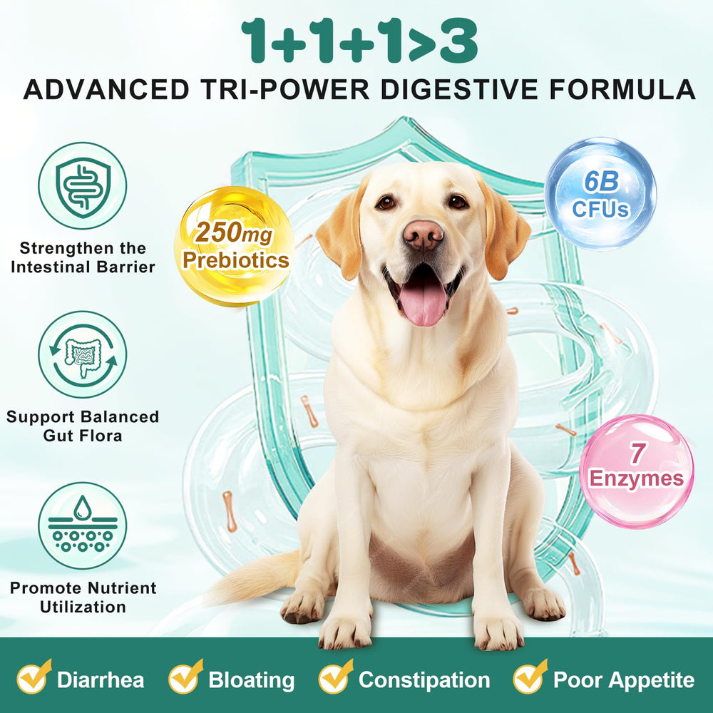 ZEBORA probiotics for dogs chicken-flavor chews closeup highlighting tasty probiotic support.