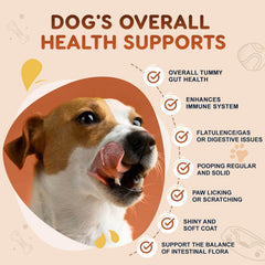 ZEBORA chicken-flavored treats deliver palatable gut balance.