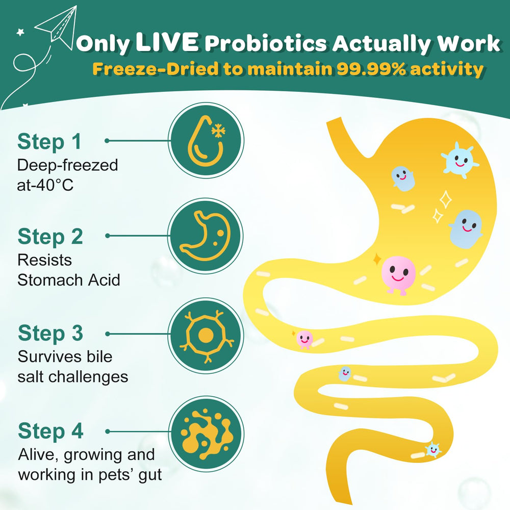 ZEBORA probiotics for dogs ingredients label closeup lists strains, prebiotics and enzymes.
