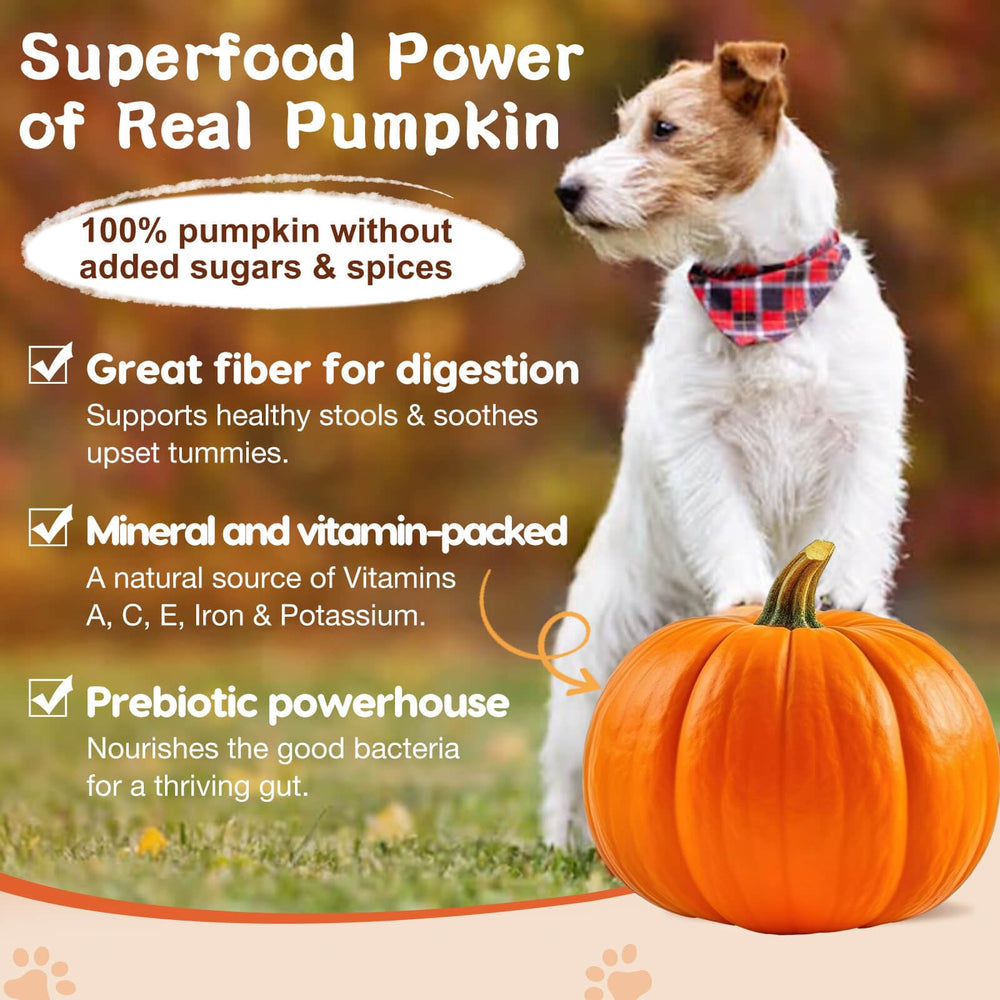 ZEBORA pumpkin-omega blend supports digestion and coat health.