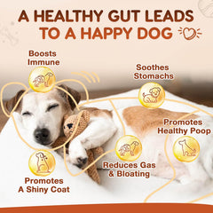 ZEBORA soft chews provide tasty, gentle digestive support.