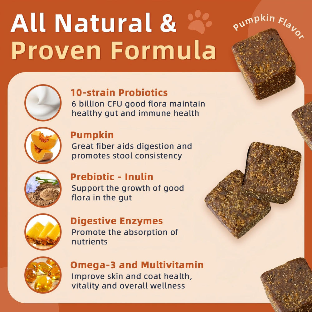 ZEBORA probiotics for dogs digestive enzymes pack emphasizes gut health and nutrient absorption.