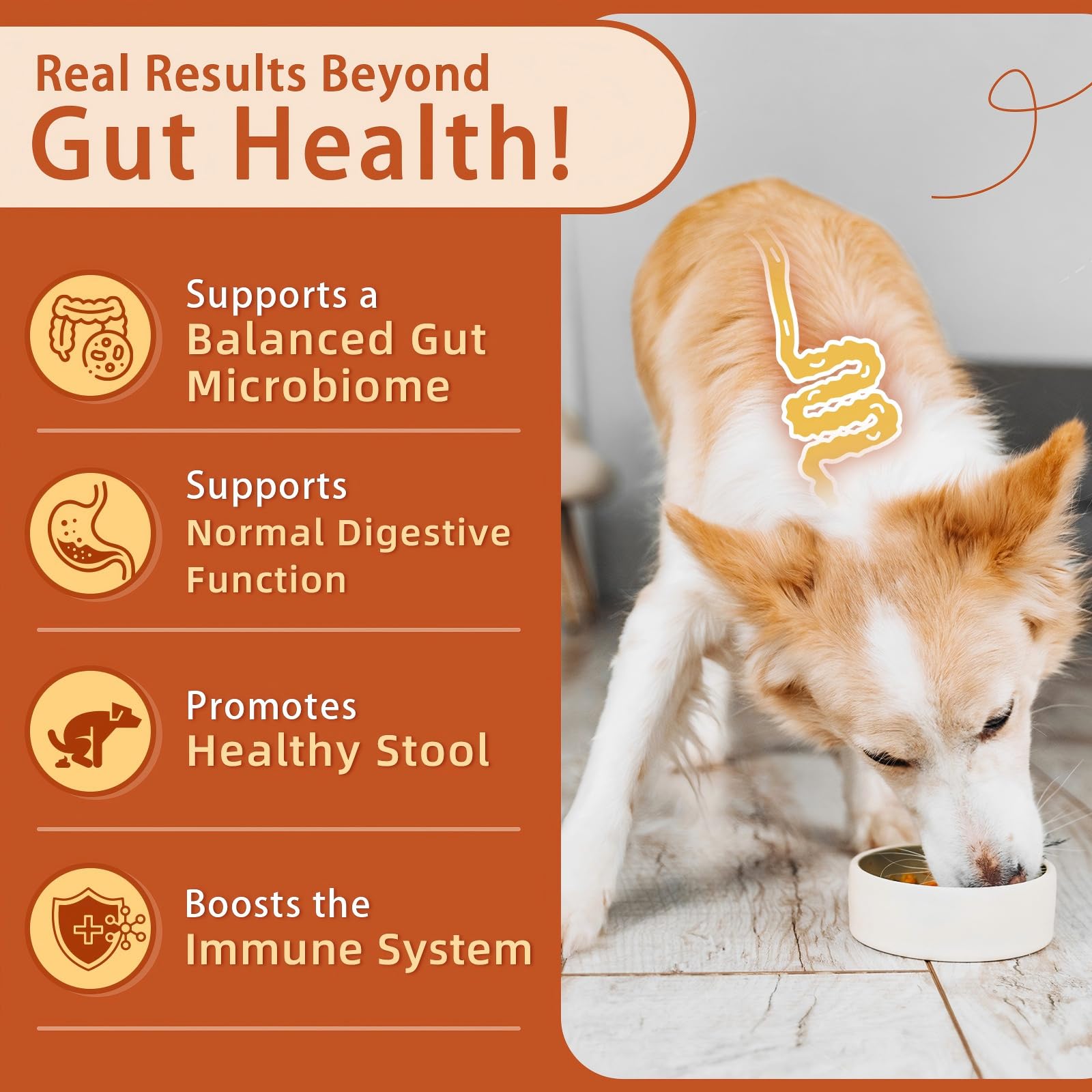 ZEBORA probiotics for dogs pumpkin flavor treat highlights tasty daily digestive aid.