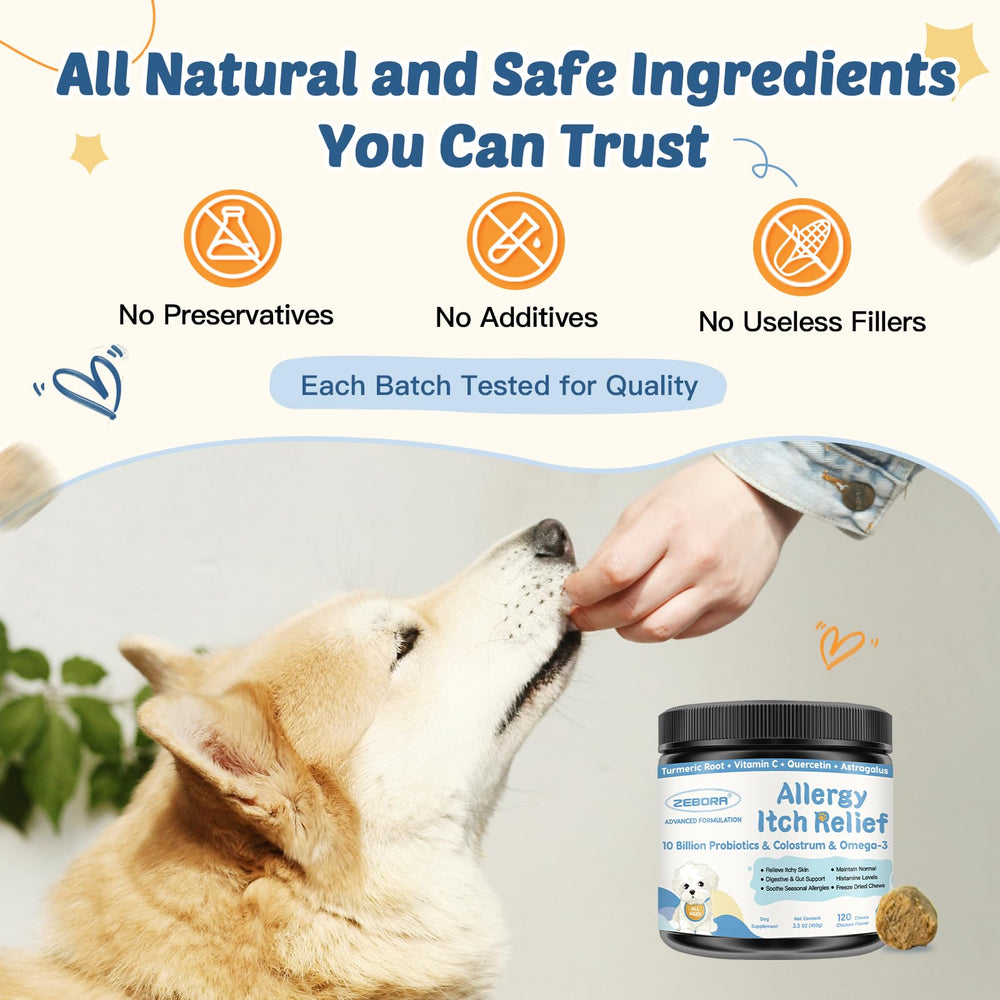 ZEBORA product image with dog resting suggests comfort after use.