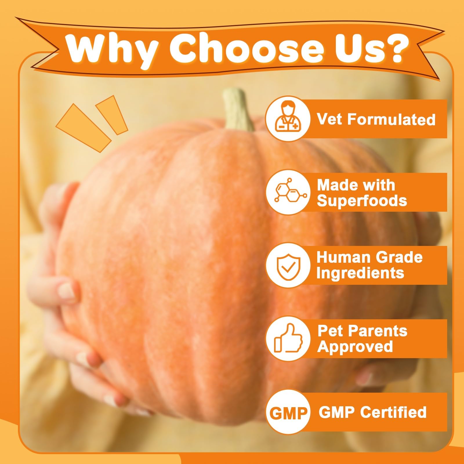 ZEBORA pumpkin for dogs bowl with puree emphasizes convenient feeding