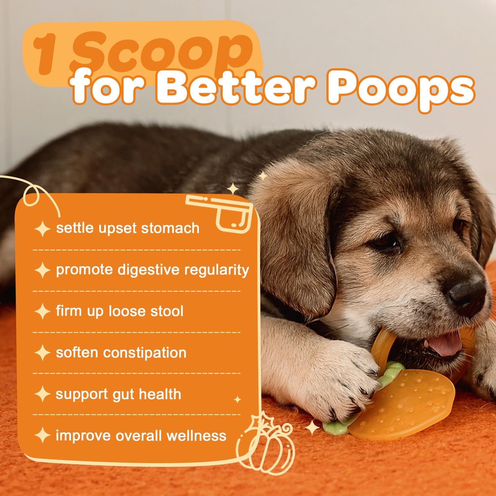 ZEBORA pumpkin for dogs puree mix shows puree prep for meals