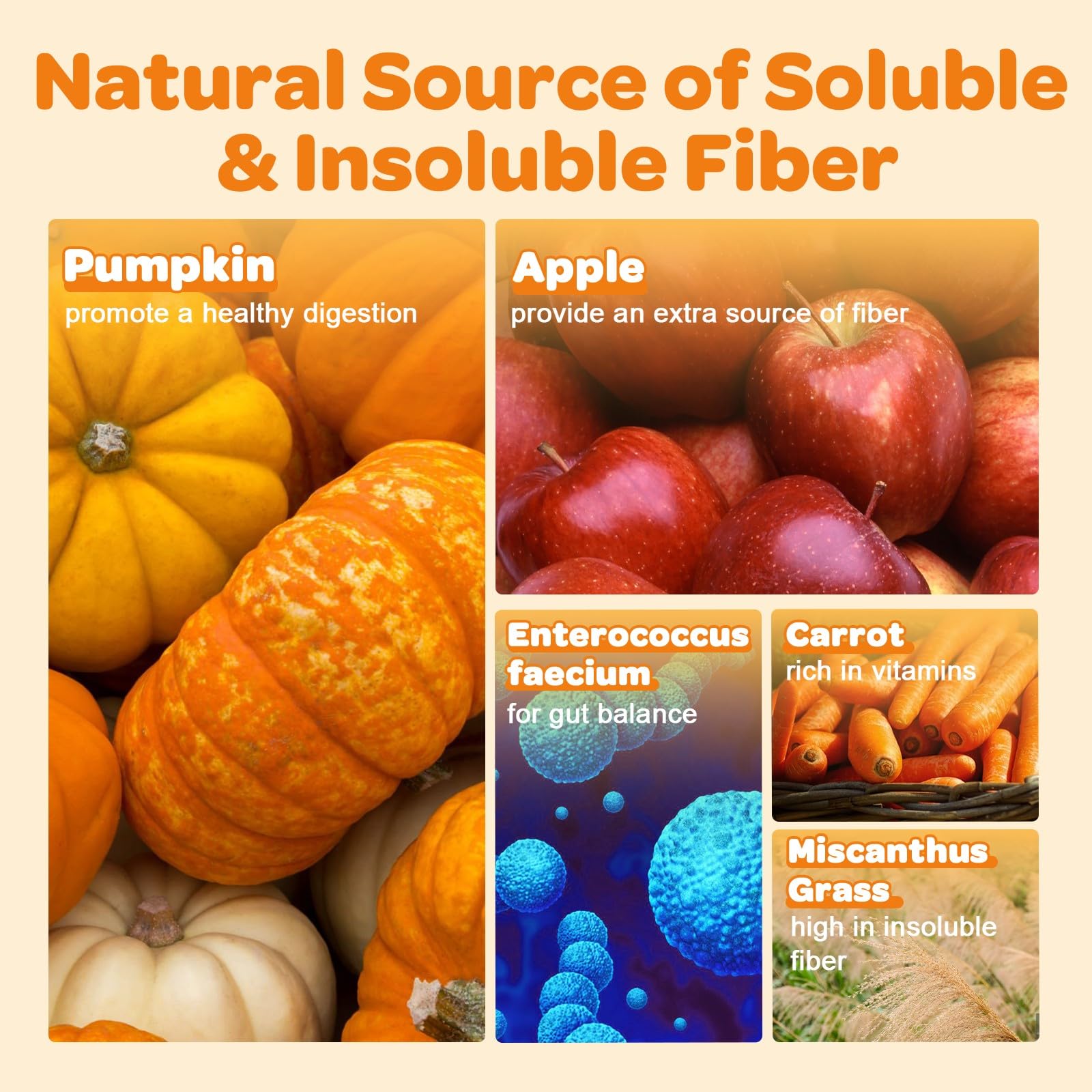 ZEBORA pumpkin for dogs scoop highlights easy portioning for daily use