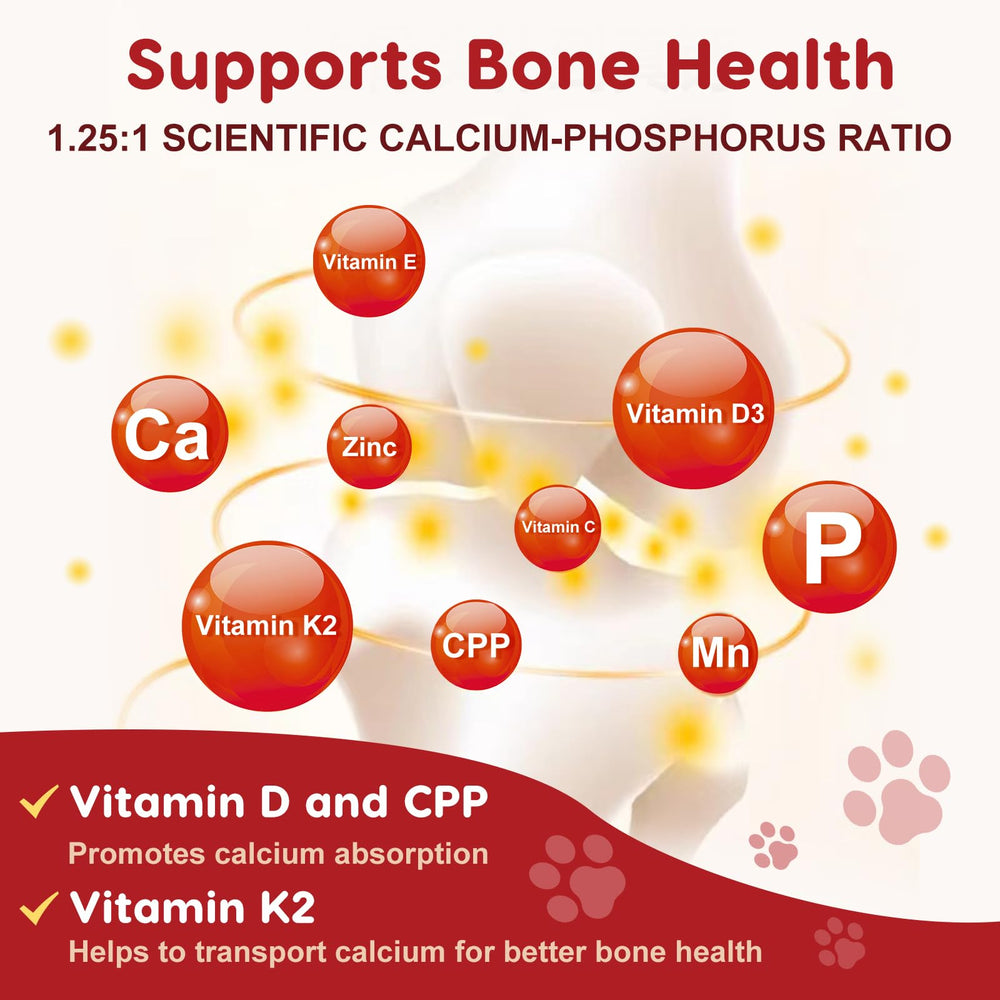 ZEBORA turmeric antioxidant benefits illustrated in dog joint care visual.