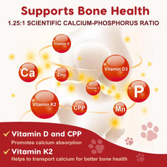 ZEBORA turmeric antioxidant benefits illustrated in dog joint care visual.