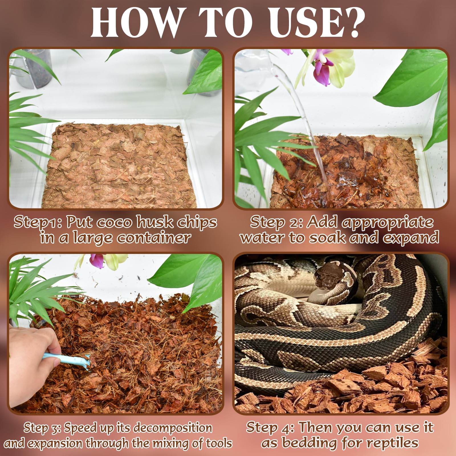 ZeeDix coconut husk bedding in terrarium for comfortable reptiles