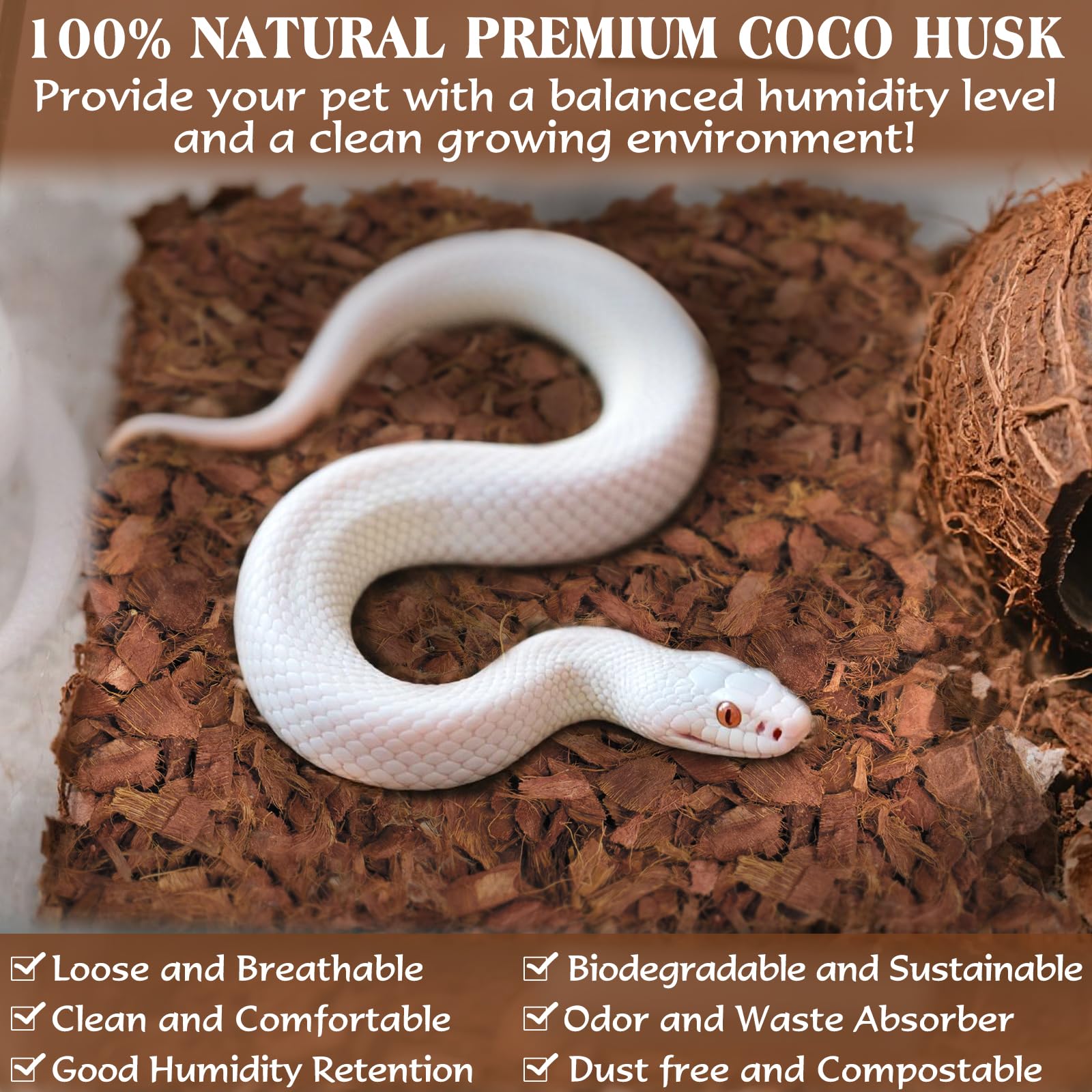 ZeeDix coconut husk chips absorb odors and waste in terrariums
