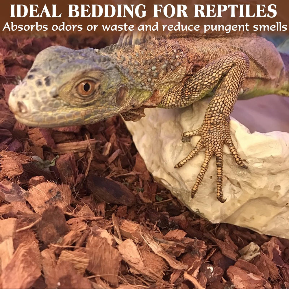 ZeeDix substrate used as reptile bedding for multiple species