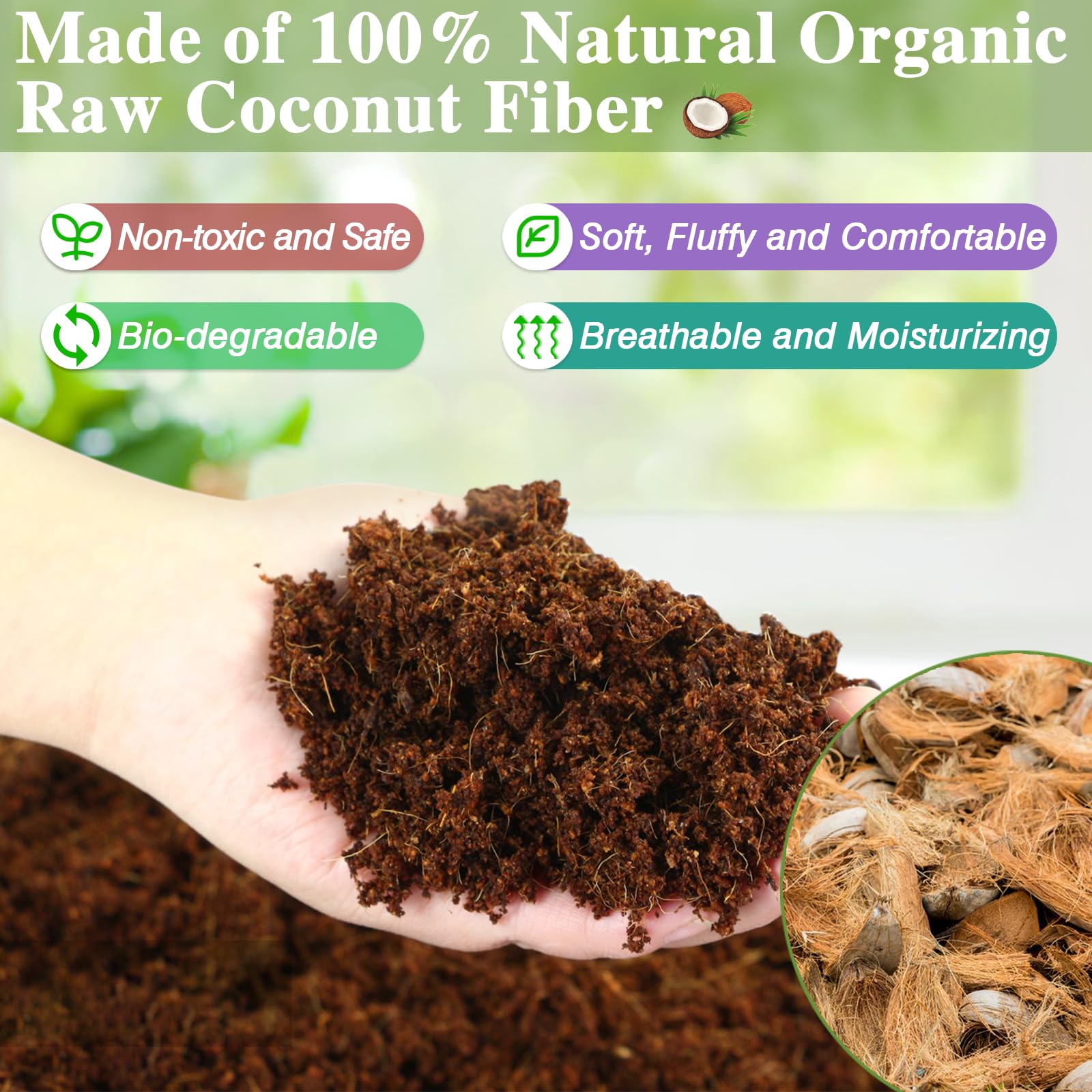 ZeeDix odor and waste absorption maintains clean terrarium