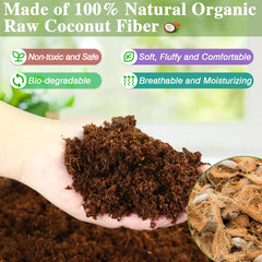 ZeeDix odor and waste absorption maintains clean terrarium