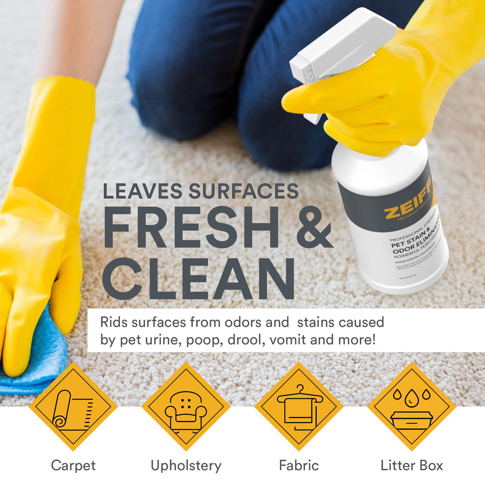 Zeiff Pet Stain and Odor Remover tackling carpet messes and upholstery odors