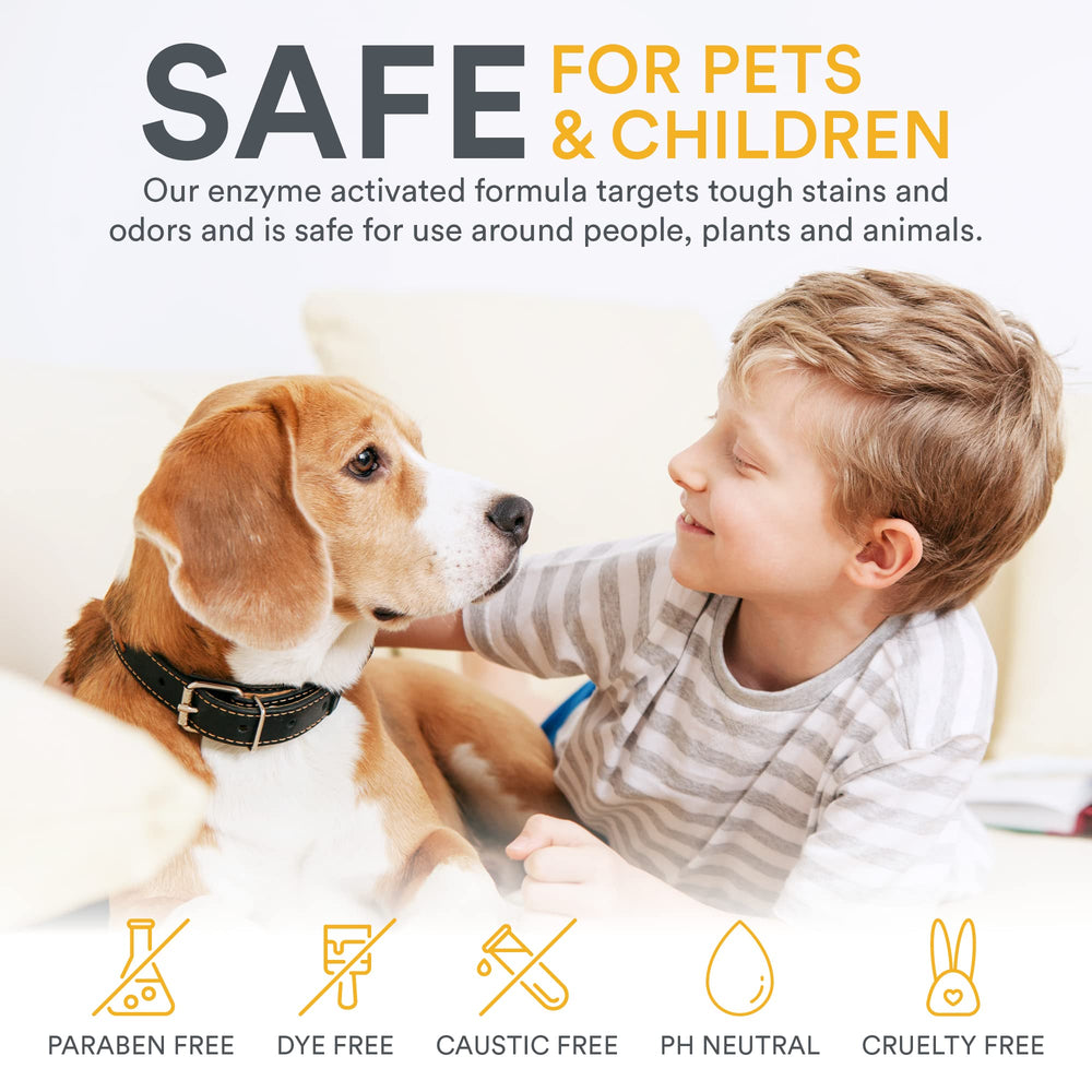 Zeiff Pet Stain Remover fabric application on upholstery highlights safe fabric use