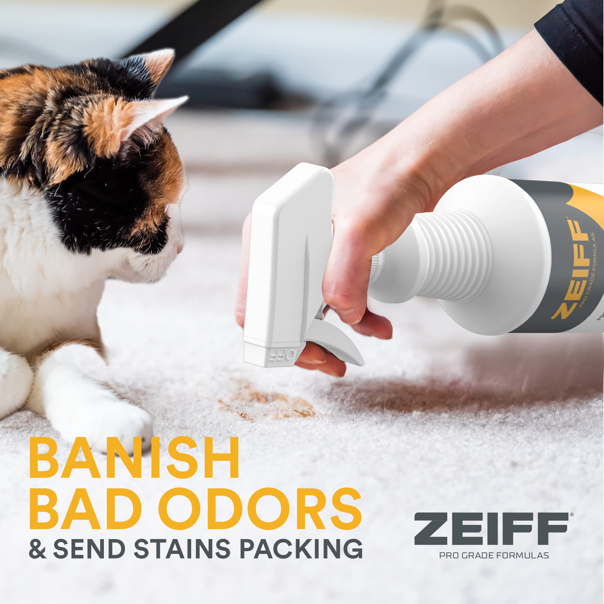 Zeiff pet stain remover multi-surface use across fabric, tile, wood