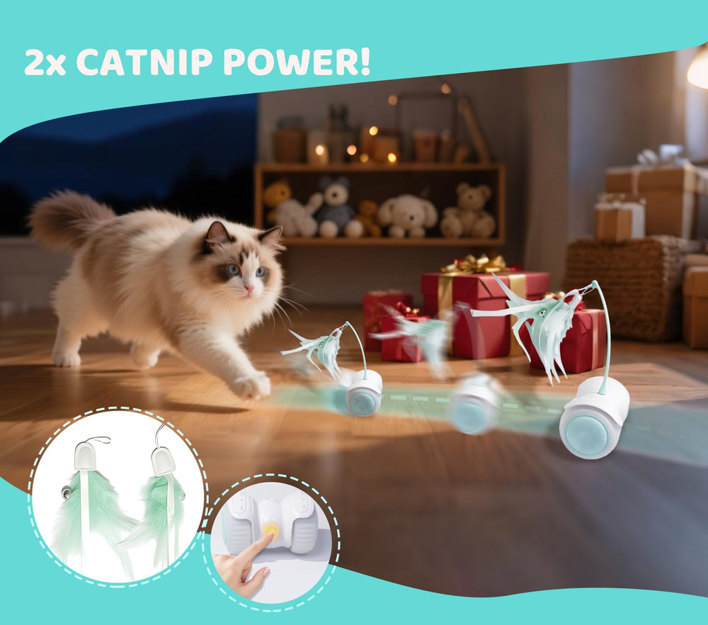 ZeLing HTL LED indicator light keeps cats curious during evening play sessions.